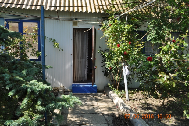 DSC_8302.JPG