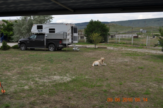 DSC_8328.JPG