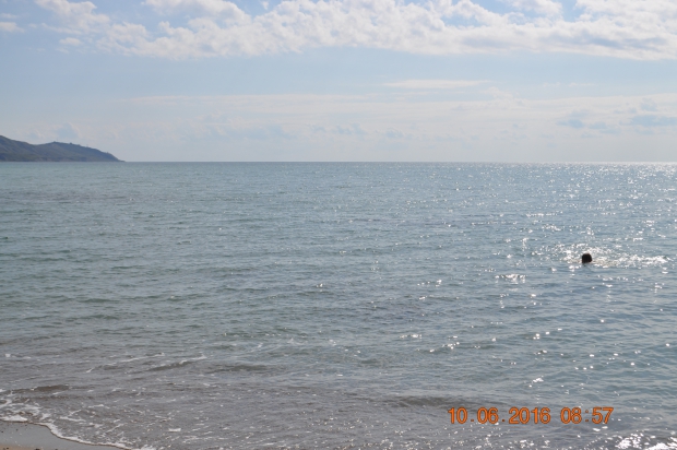 DSC_8347.JPG