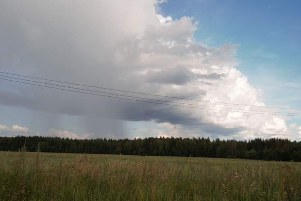 DSC_0389.jpg