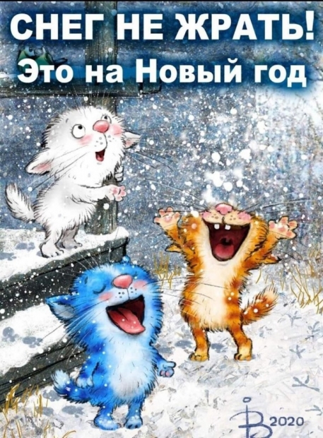 z0oOqb_9GDv6uSGypAUr6oVcB-lXNtW2r-iHuREKz-zKZrby_NpfMnrRO9ovTXp-Hbe_WnZkTuPNVwphajLxcMKV.jpg