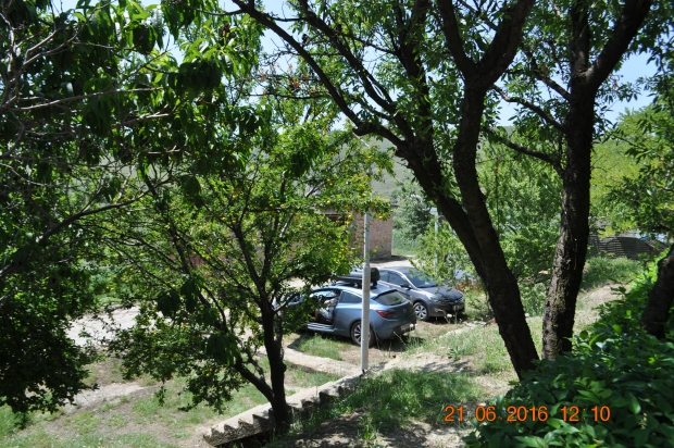 DSC_8450.JPG
