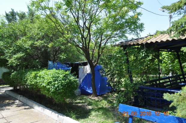DSC_8449.JPG