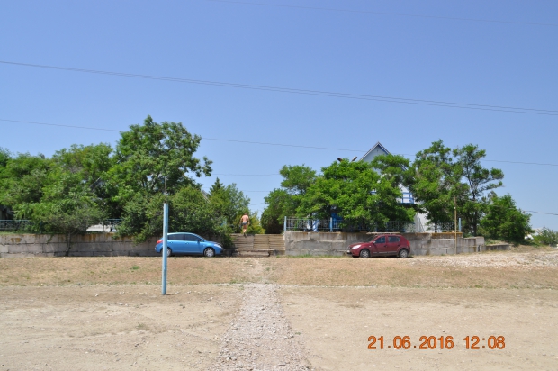 DSC_8448.JPG