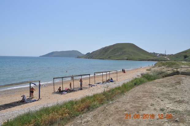 DSC_8446.JPG