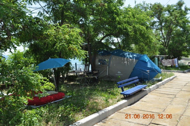 DSC_8442.JPG