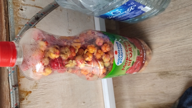 IMG-20250714-WA0037.jpeg