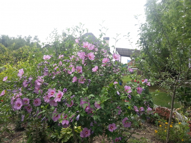 20160705_120056.jpg