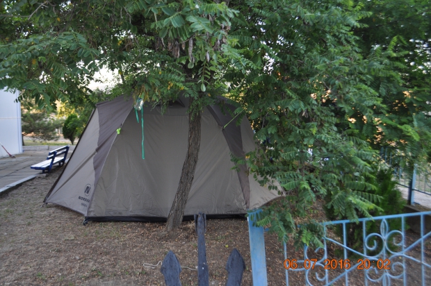 DSC_8521.JPG