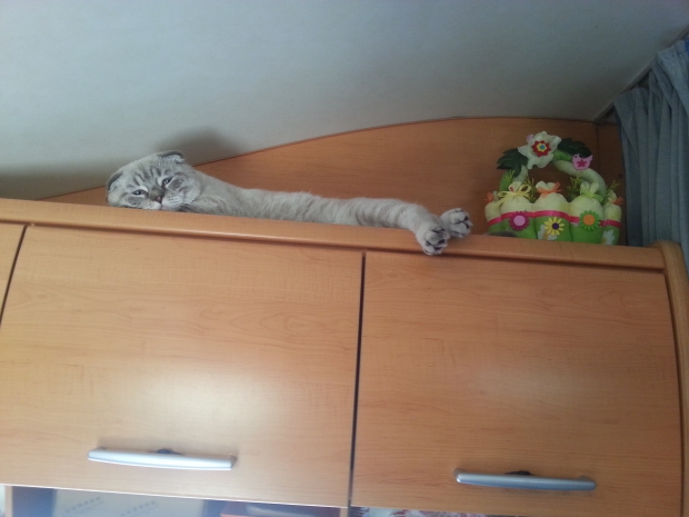 20160715_125523.jpg