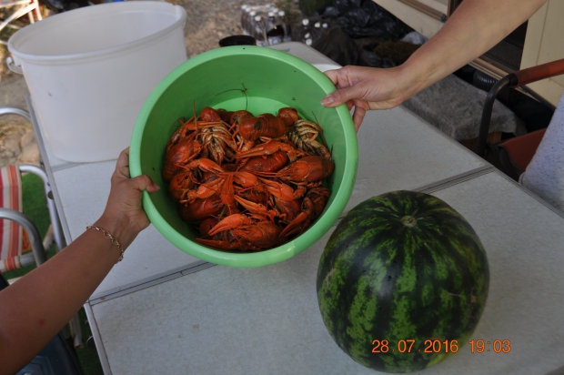 DSC_8679.JPG