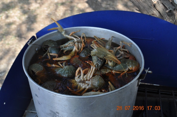 DSC_8667.JPG