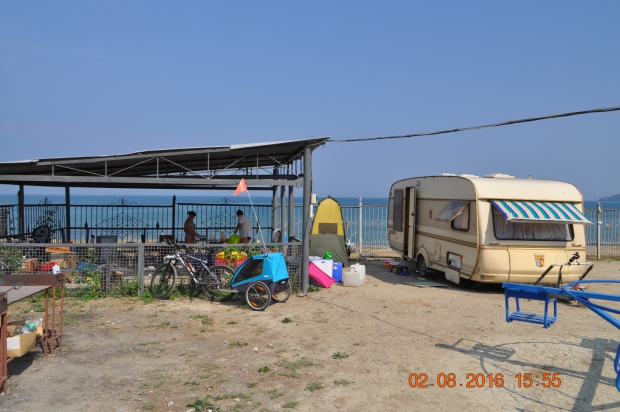 DSC_8687.JPG