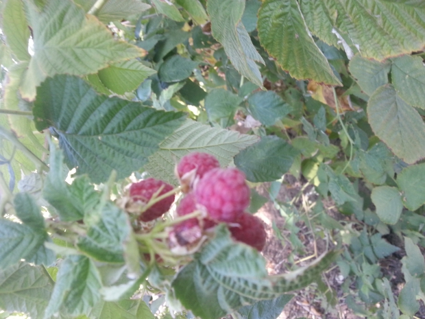 20160830_113842.jpg