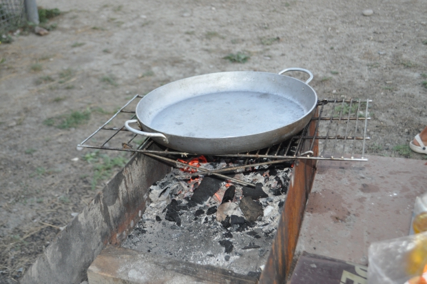 DSC_8823.JPG