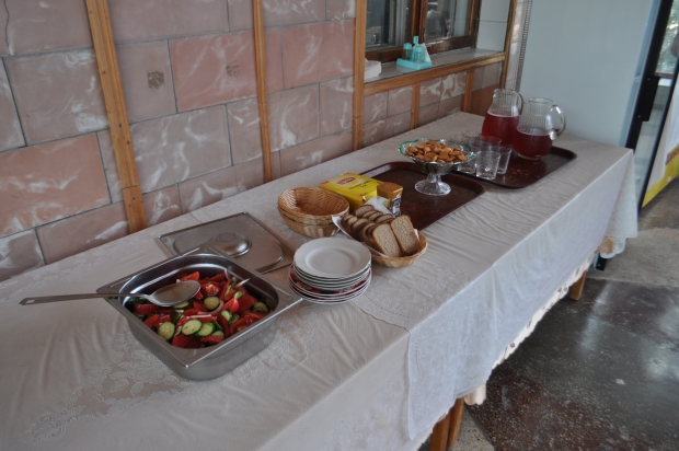 DSC_8805.JPG