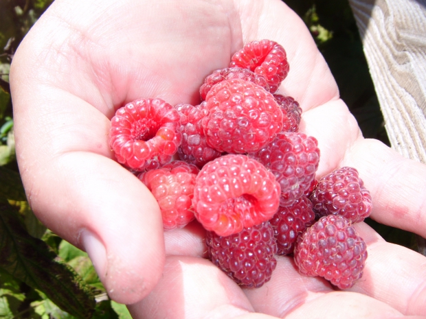 DSCF7338.JPG