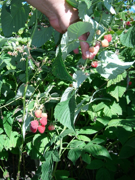 DSCF7344.JPG