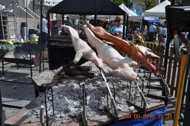 DSC_9028.JPG