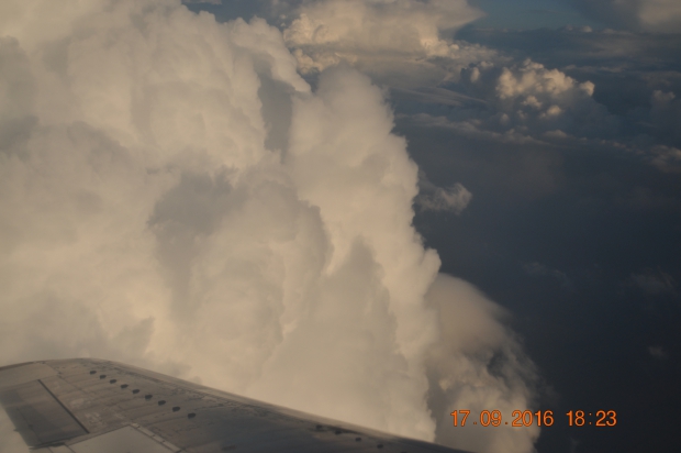 DSC_8943.JPG
