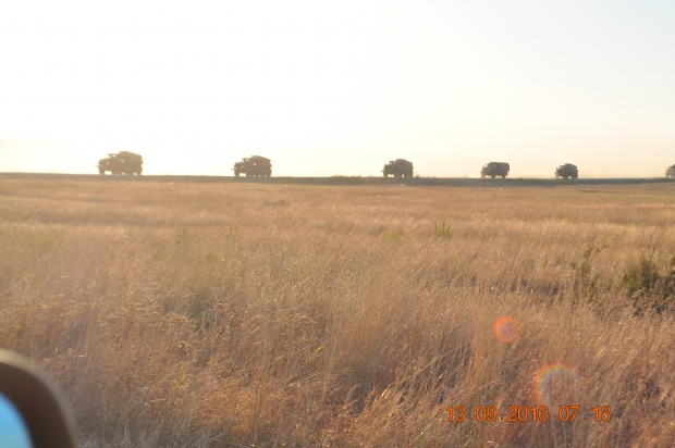 DSC_8923.JPG