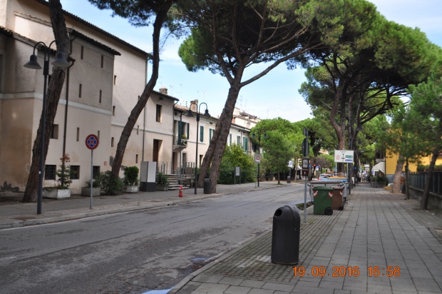 DSC_9097.JPG