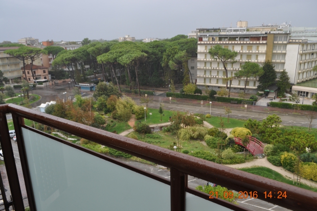 DSC_9168.JPG