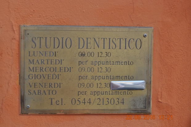 DSC_9252.JPG
