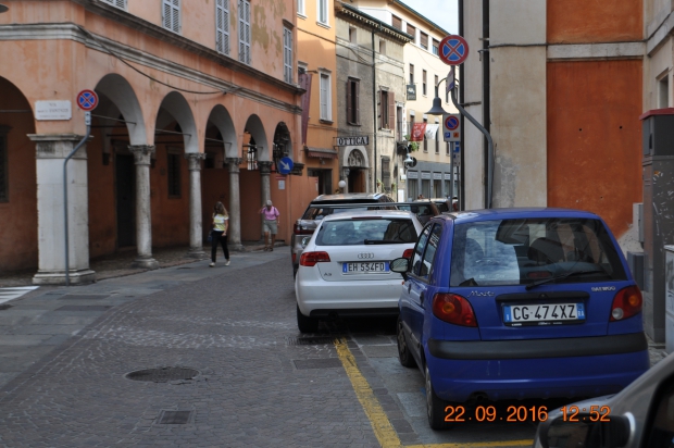 DSC_9230.JPG