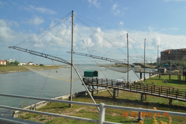 DSC_9181.JPG