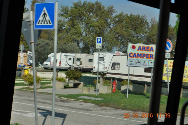 DSC_9175.JPG
