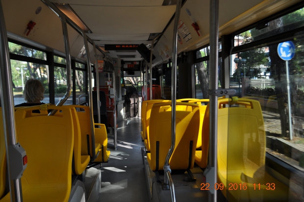 DSC_9172.JPG