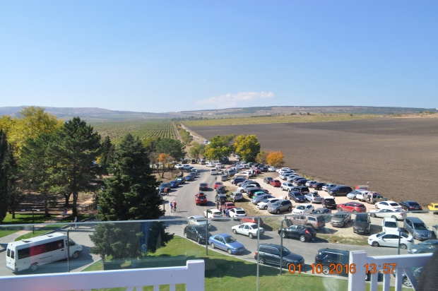 DSC_9312.JPG