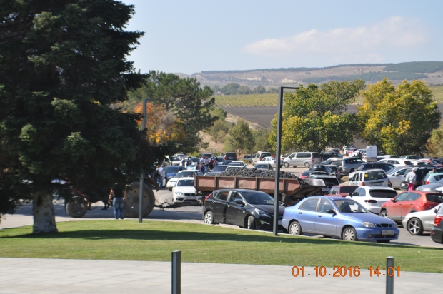 DSC_9315.JPG