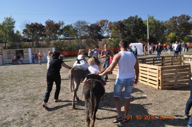 DSC_9398.JPG