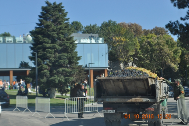 DSC_9423.JPG