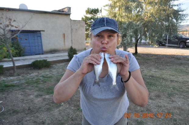 DSC_9434.JPG
