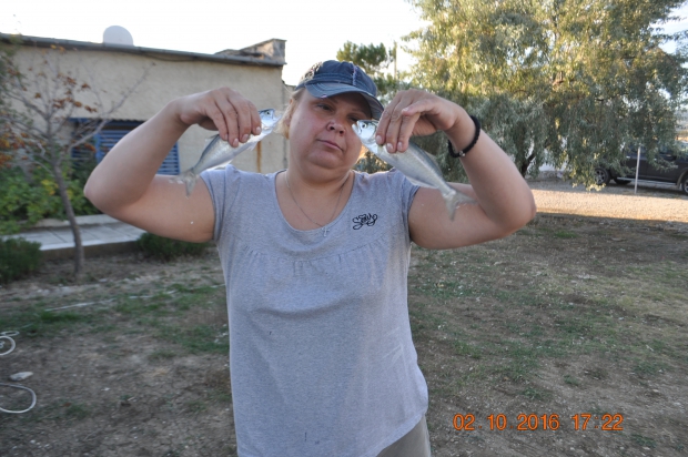 DSC_9438.JPG