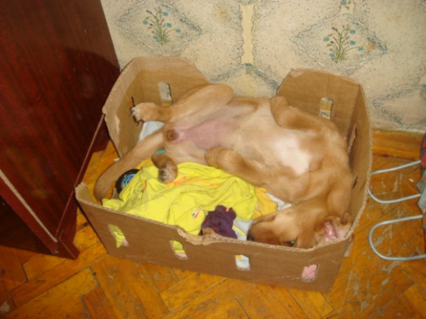 DSC00051.JPG