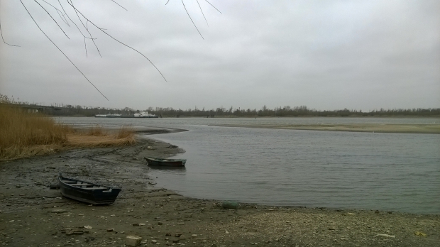 WP_20150330_001.jpg