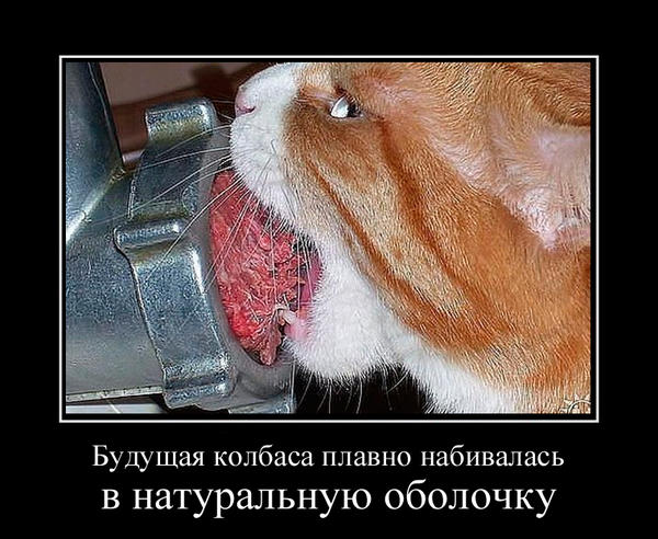 f9fc9630bc939b1ae83f6d2f50c92bb7afca1f6f_1.jpg