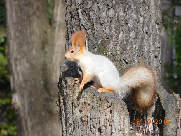 DSCN0854.JPG