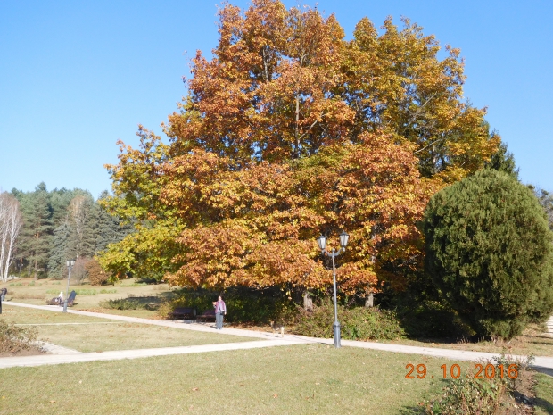 DSCN0911.JPG