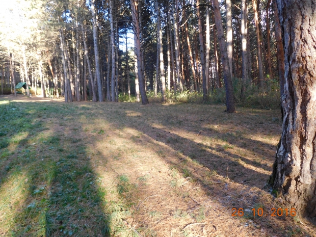DSCN0617.JPG