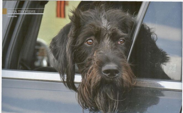 14258250_183301905429600_8516680870080963025_o (1).jpg