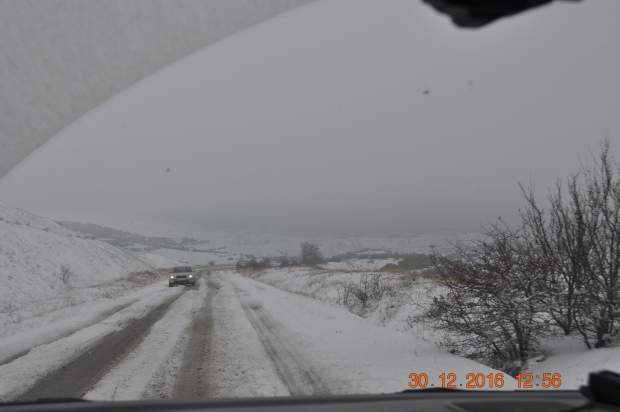 DSC_9593.JPG