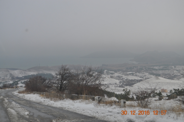DSC_9601.JPG