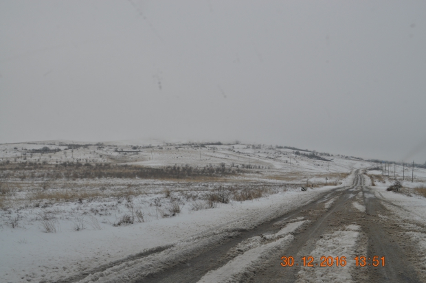 DSC_9633.JPG