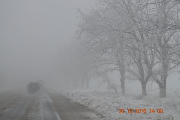 DSC_9651.JPG