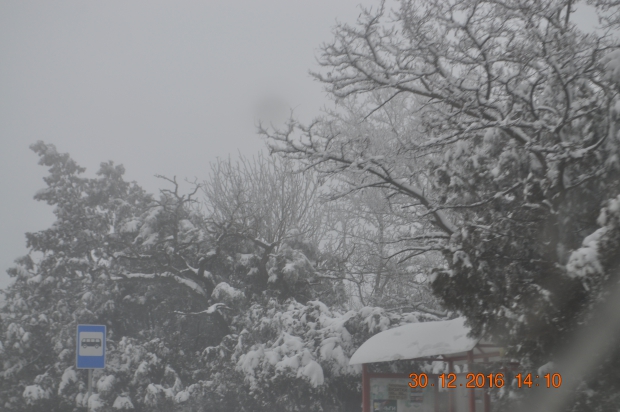 DSC_9655.JPG